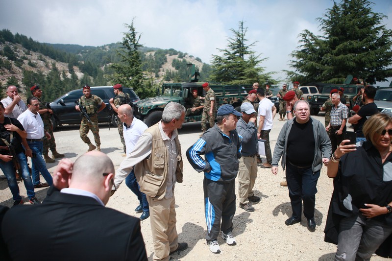 Cedar tree in memory of the Lebanese Commandos Regiment founder